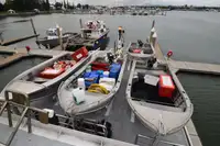 Trawler te koop