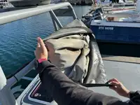 Patrouilleboot te koop