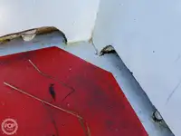 Veerboot te koop