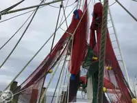 Trawler te koop