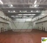 Ro-Ro-schip te koop