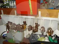 Beurtvisser te koop