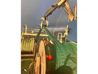 Veerboot te koop