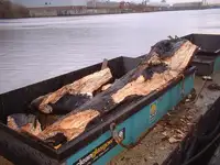 Barge te koop