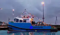 Sleepboot Te koop