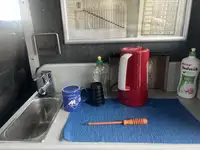 Catamaran te koop