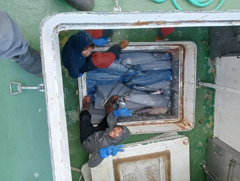 Trawler te koop