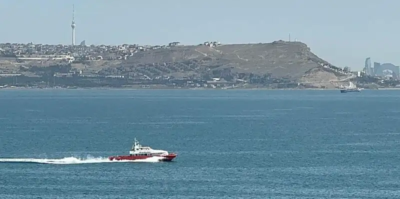 Catamaran Te koop