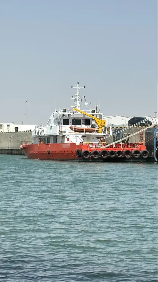 Catamaran Te koop