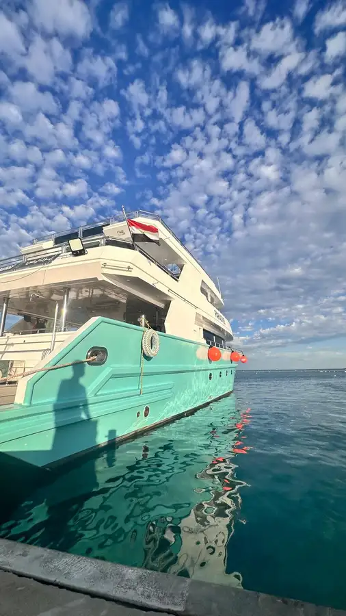 Cruise schip Te koop