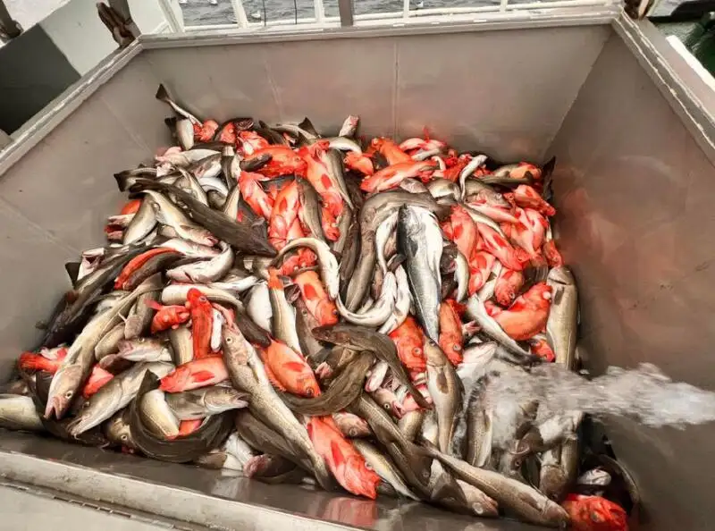 Visserij Trawler Te koop