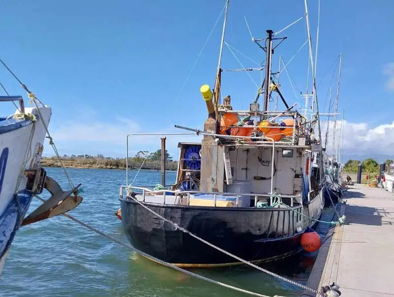 Beuglijnschip Te koop