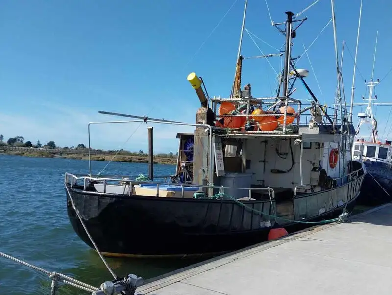 Beuglijnschip Te koop