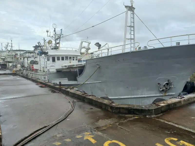 Beuglijnschip Te koop