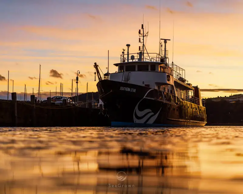 Onderzoeksvaartuig Te koop