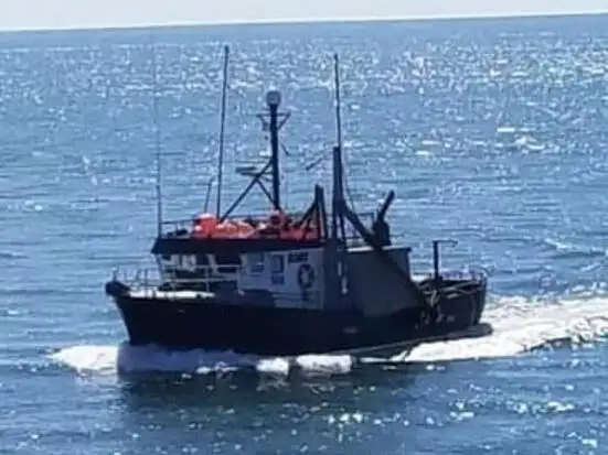 Beuglijnschip Te koop