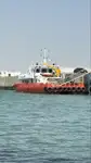 Catamaran Te koop