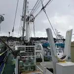 seiner Te koop