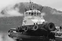 Sleepboot Te koop