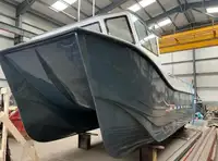 Catamaran Te koop