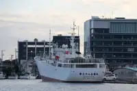 Visserij Trawler Te koop