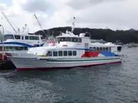 Veerboot Te koop