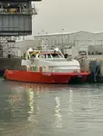 Catamaran Te koop