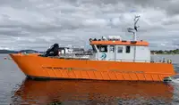 Catamaran Te koop