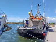 Beuglijnschip Te koop