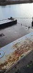 baggerschip Te koop