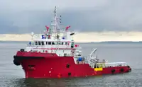 Sleepboot Te koop