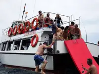 Duikondersteuning Te koop