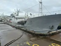 Beuglijnschip Te koop