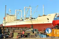 Koelschip Te koop