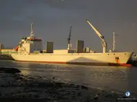 Koelschip Te koop
