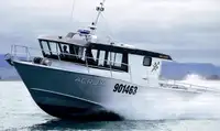 Veerboot Te koop