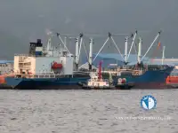 Koelschip Te koop